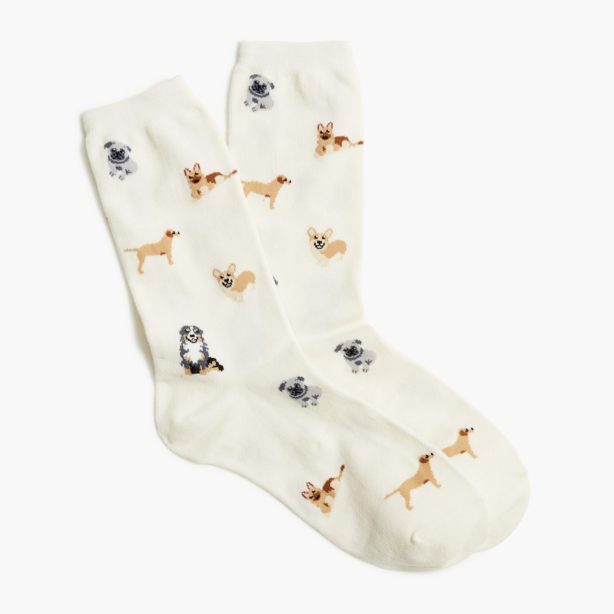 All the dogs trouser socks