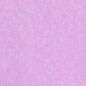 RADIANT ORCHID