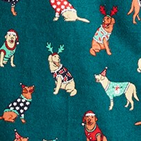 Flannel pajama pant in print KILLINGTON SKIER GREEN  j.crew: flannel pajama pant in print for men