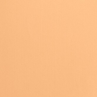 BRIGHT CANTALOUPE