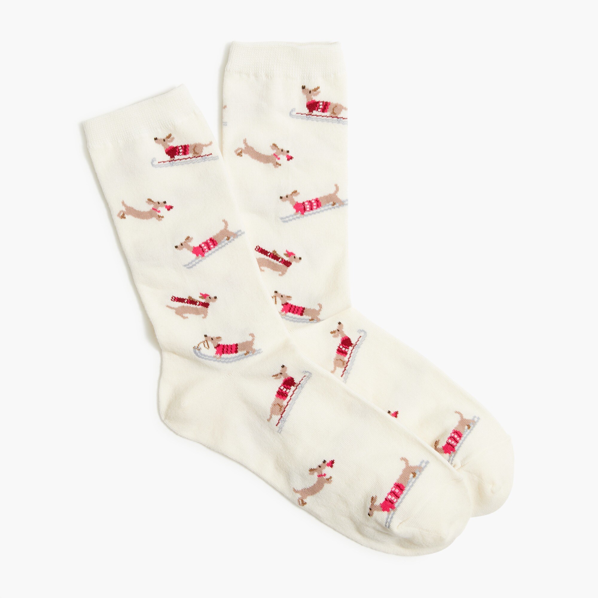 Dachshund in the snow trouser socks