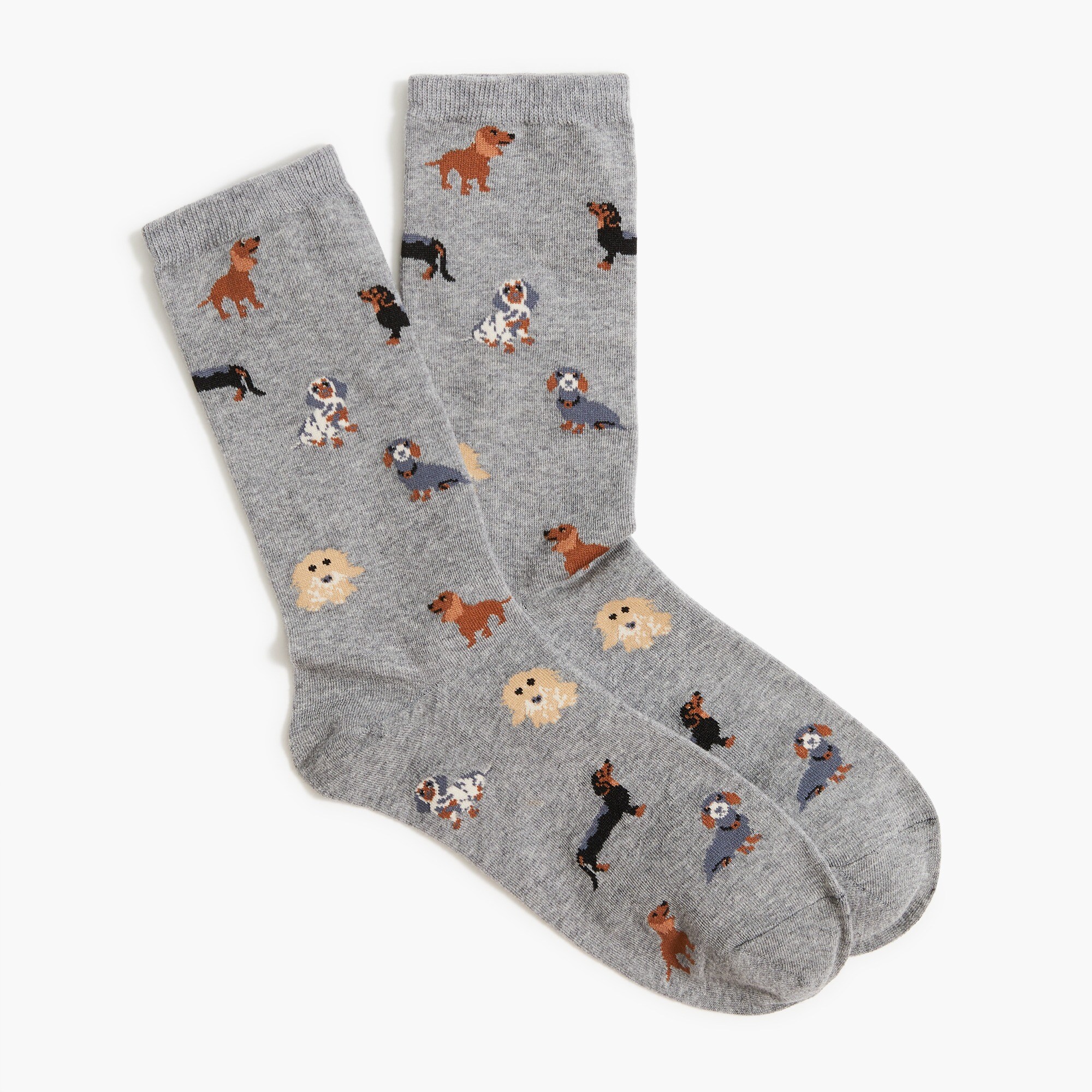 All the dachshunds trouser socks