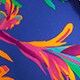BRILLIANT BLUE FUCHSIA 