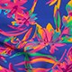 BRILLIANT BLUE FUCHSIA 