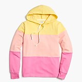 Tricolor hoodie
