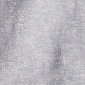 SALT GREY