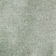 SALT OLIVE