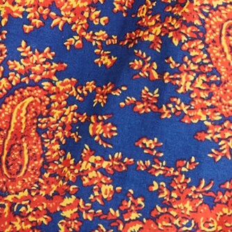 6" stretch swim trunk in print GOLDFISH BLUE YELLOW 