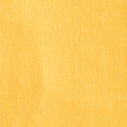 SPICY SUNFLOWER