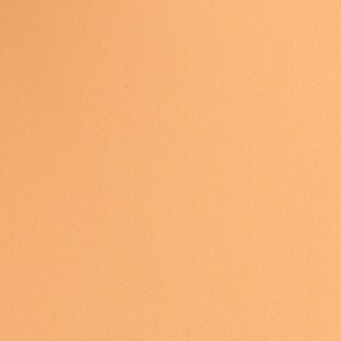 BRIGHT CANTALOUPE