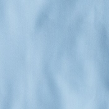 BLUE MIST