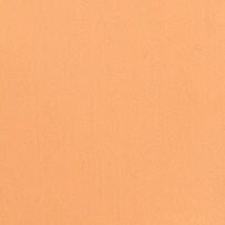 BRIGHT CANTALOUPE