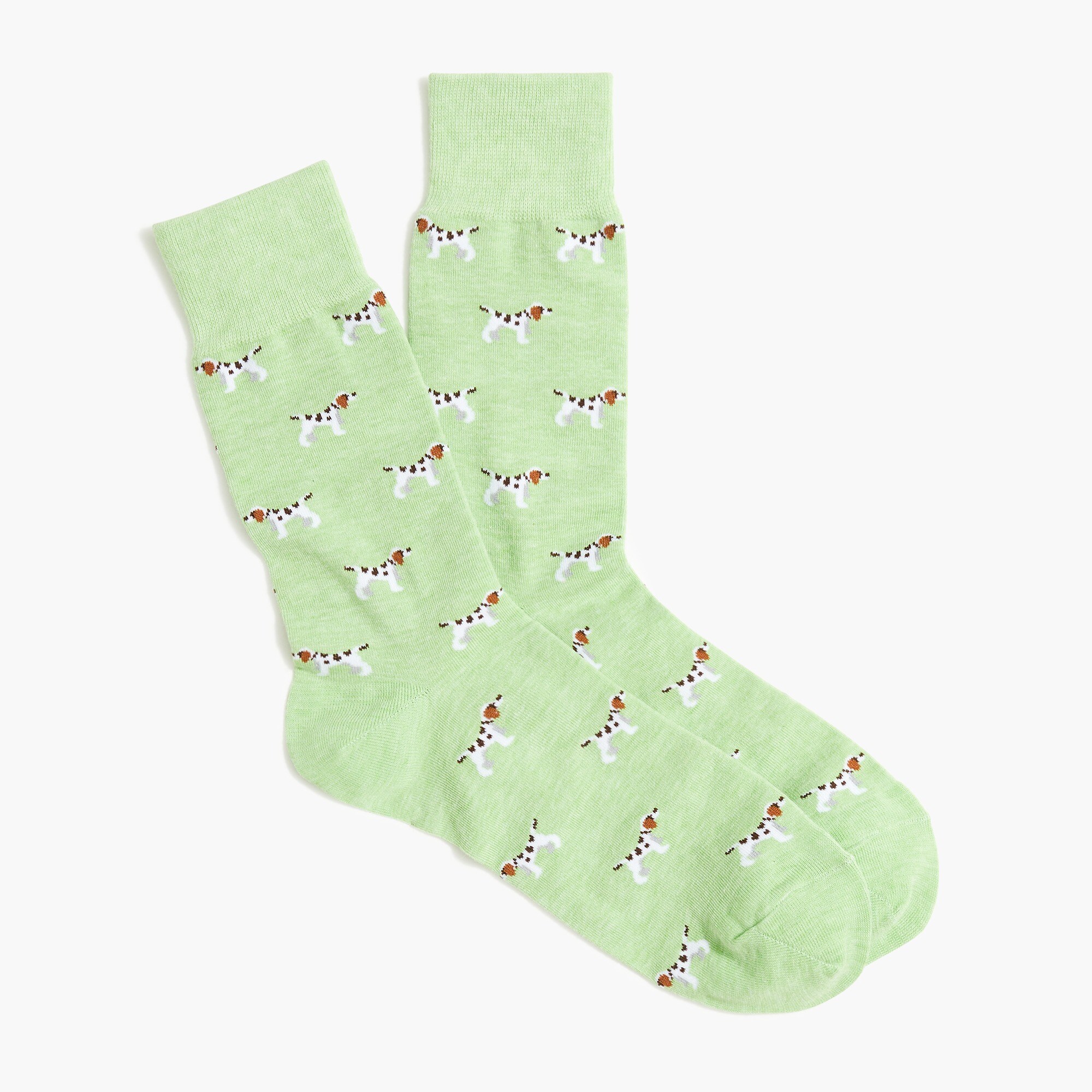 dog socks for men