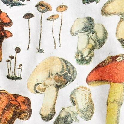Fitted mushroom chart T-shirt WHITE j.crew: fitted mushroom chart t-shirt for women