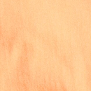BRIGHT CANTALOUPE