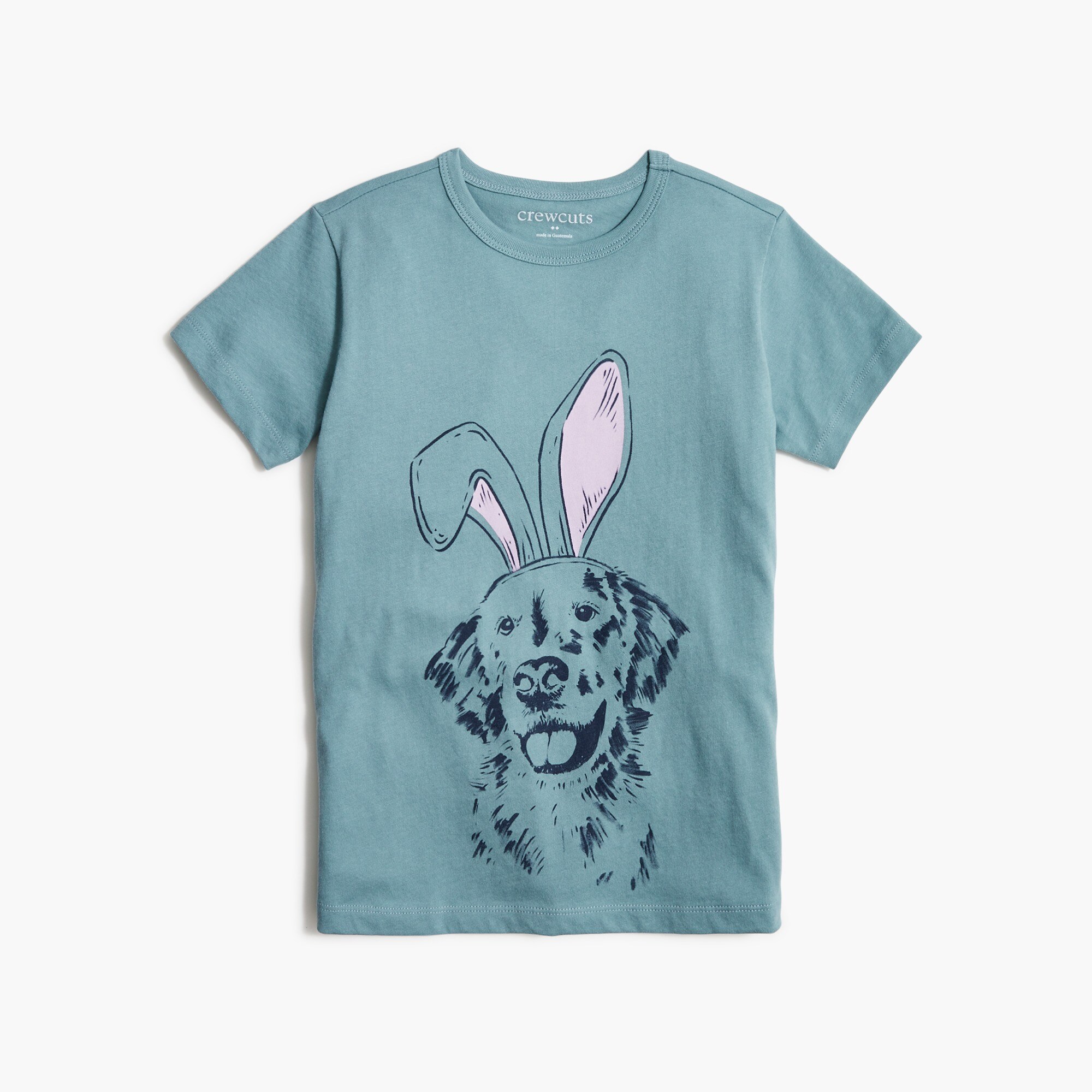 Boys' dog with bunny ears graphic tee