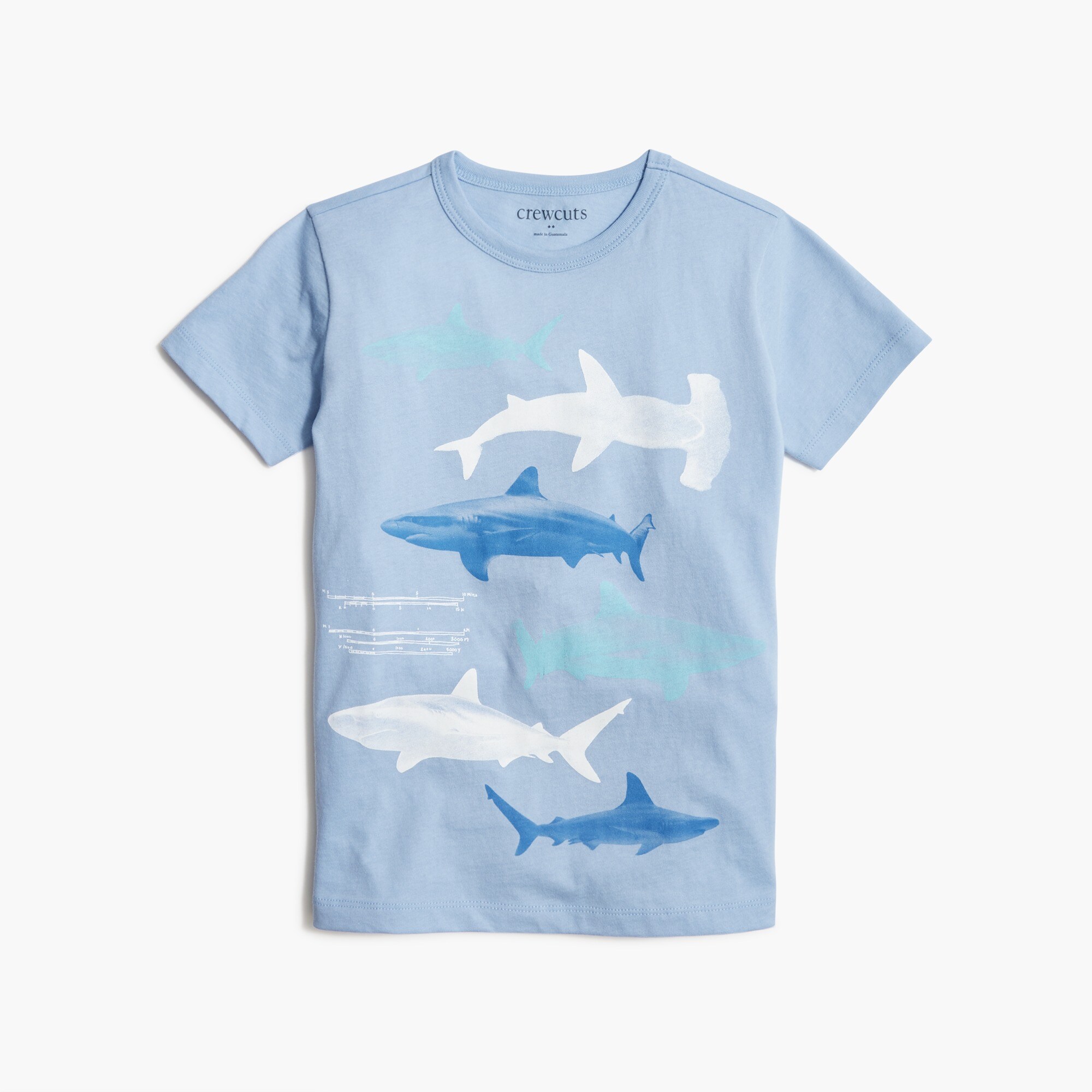 Boys' shark graphic tee