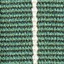 EVERGREEN SINGLE STRIPE