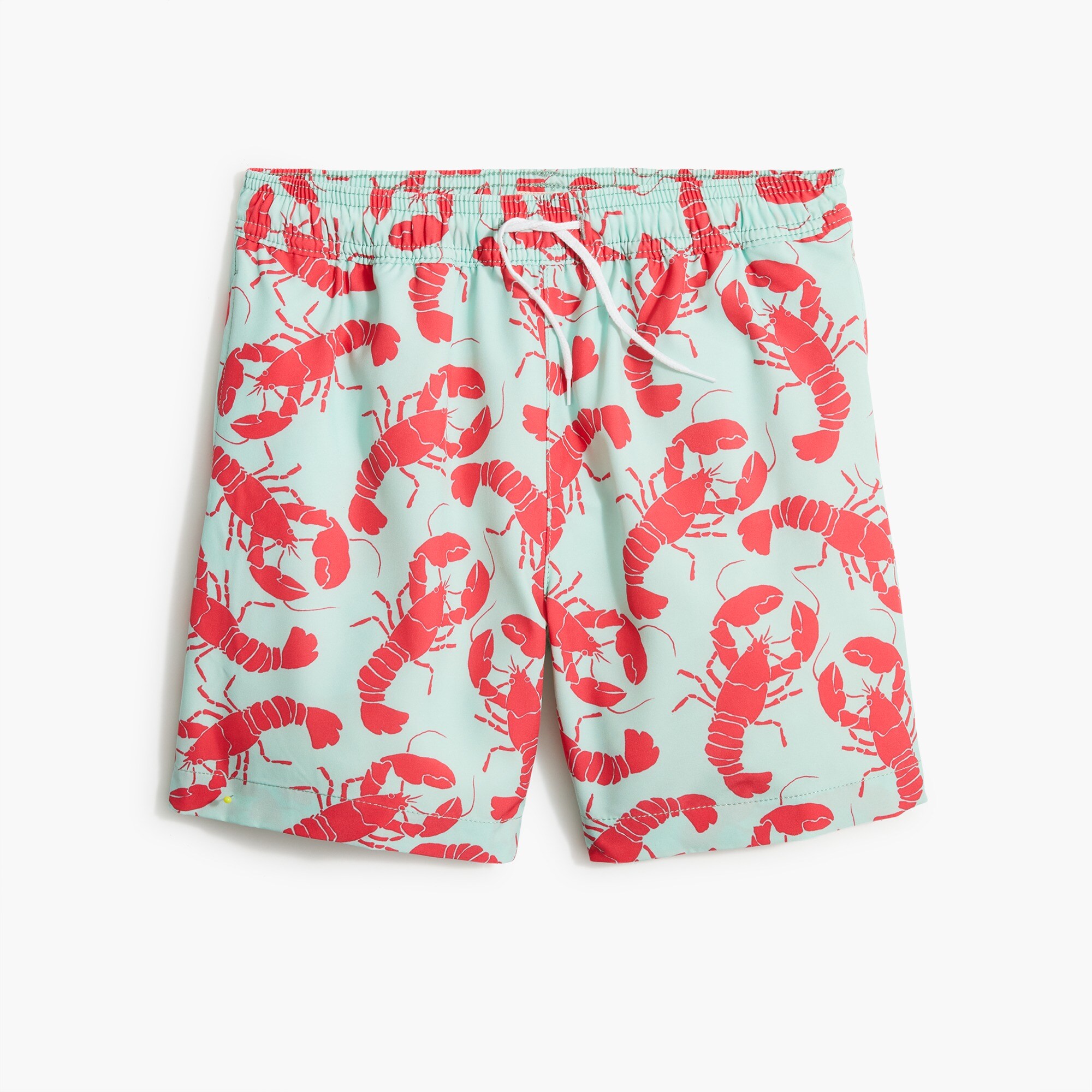 Boys' lobsters swim trunk