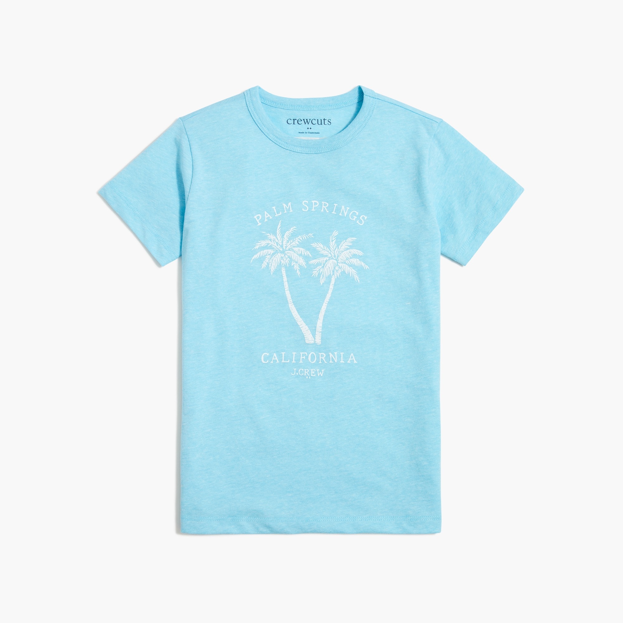 Boys' Palm Springs graphic tee