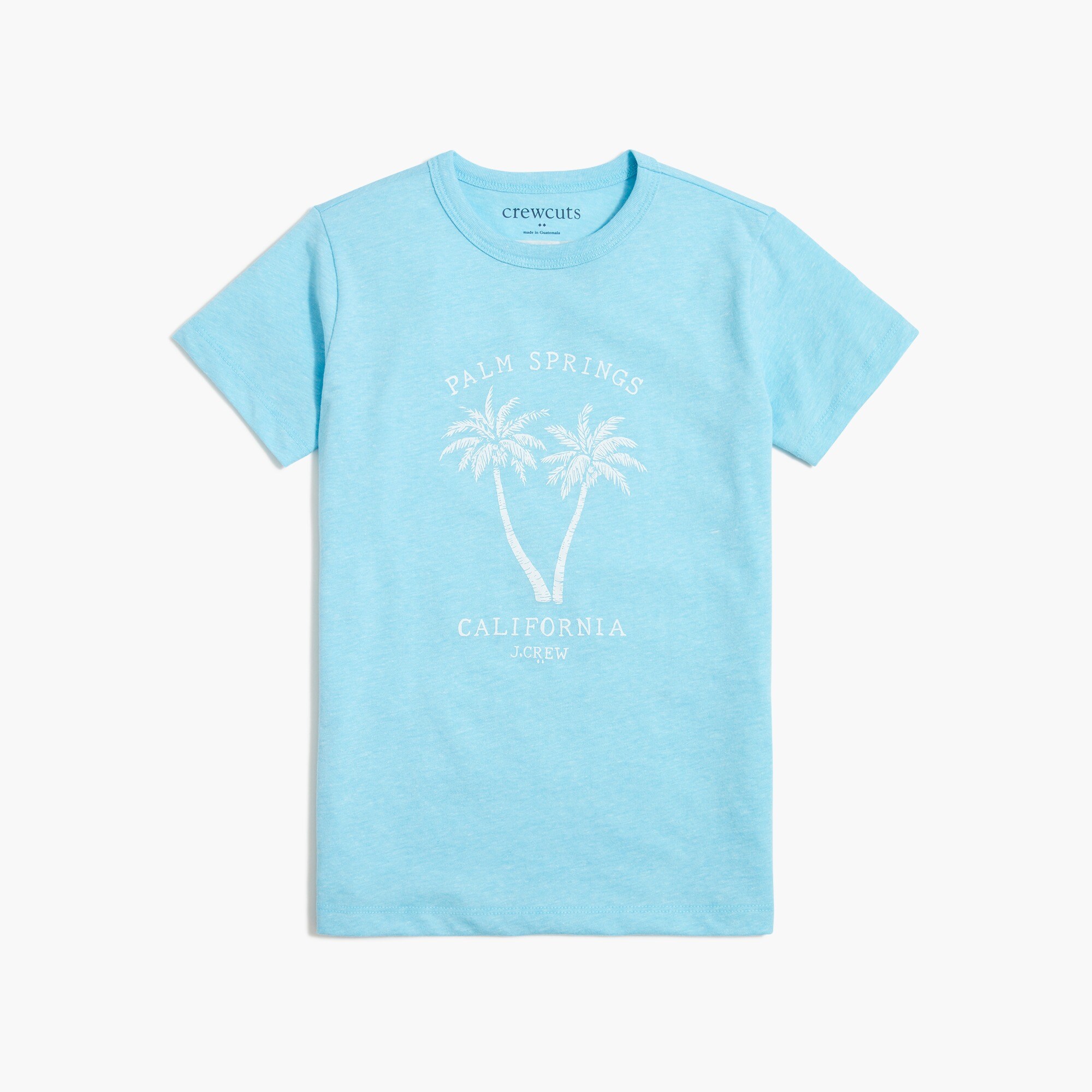 Boys' Palm Springs graphic tee