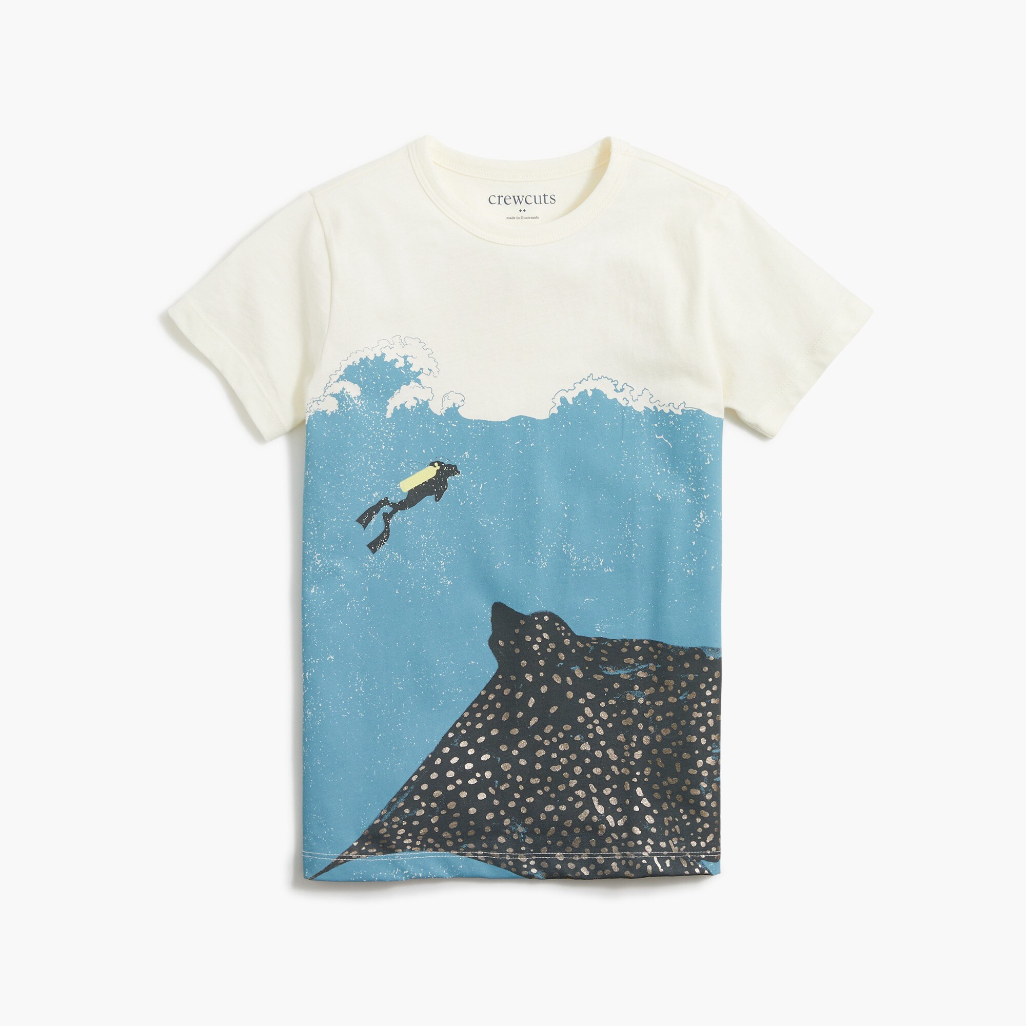 Boys' stingray graphic tee