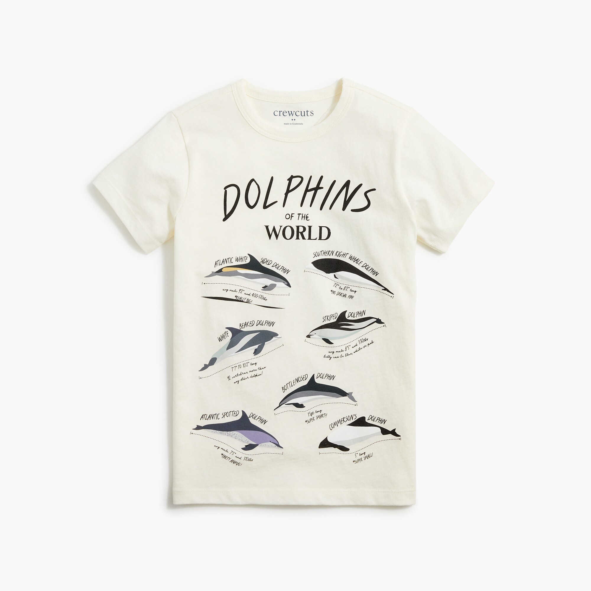 Boys' dolphins graphic tee