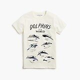 Boys' dolphins graphic tee