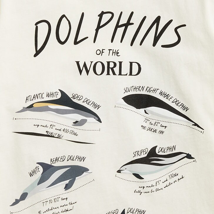 Boys' dolphins graphic tee IVORY boys' dolphins graphic tee for boys