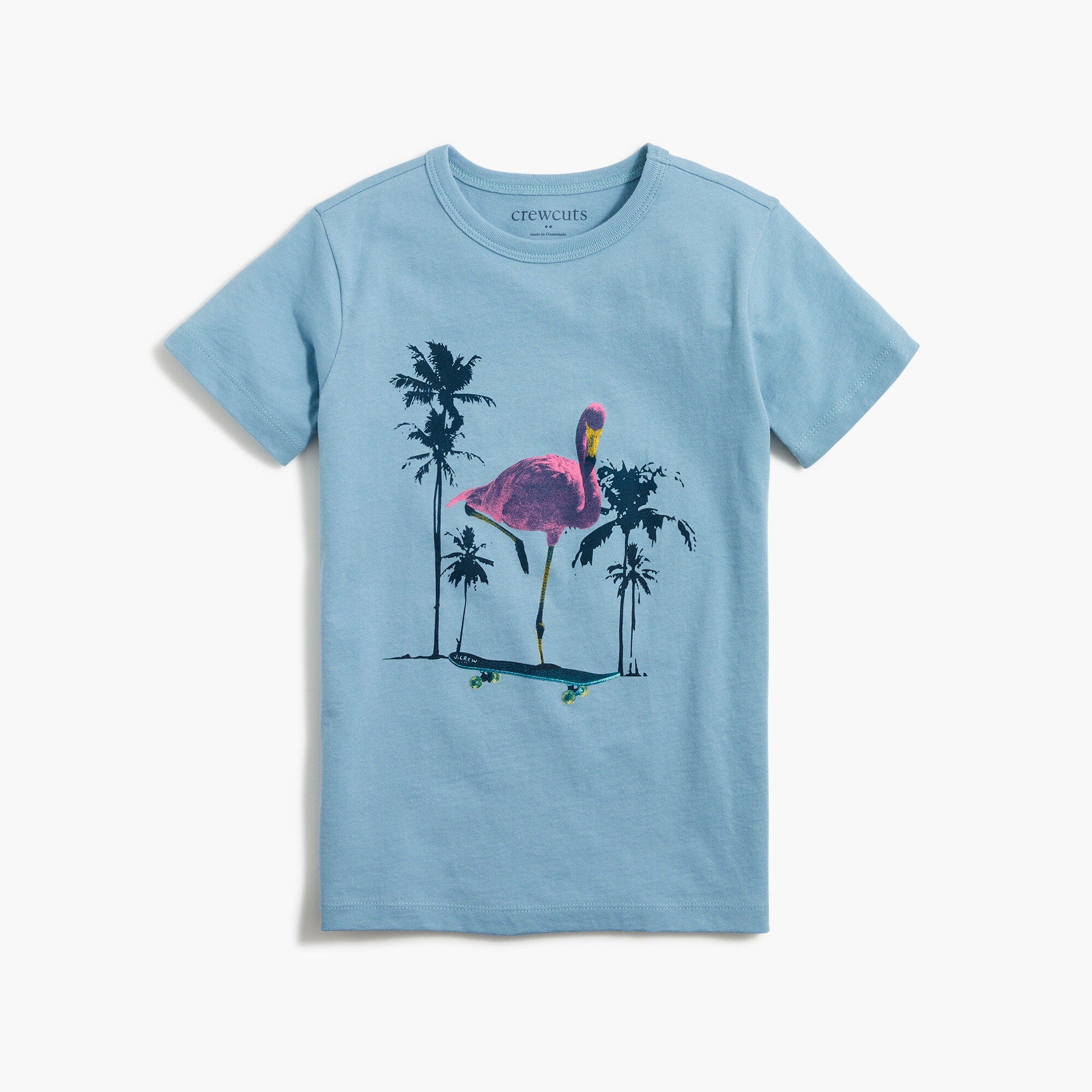 Boys' flamingo graphic tee