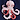 Octopus socks NAVY 