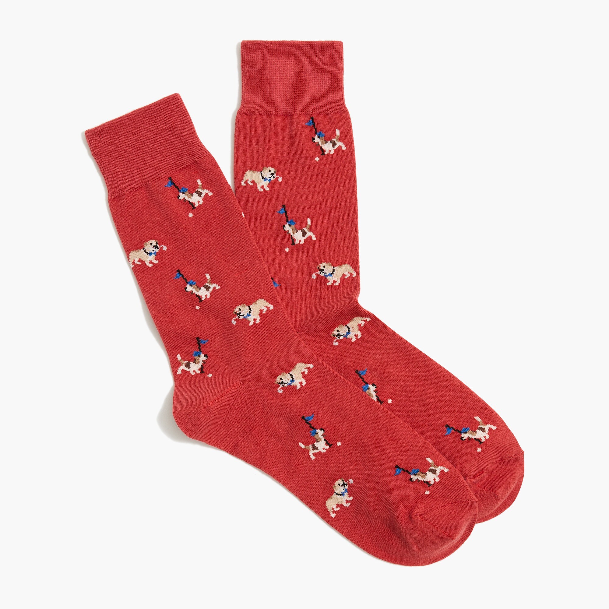golf dogs socks for men