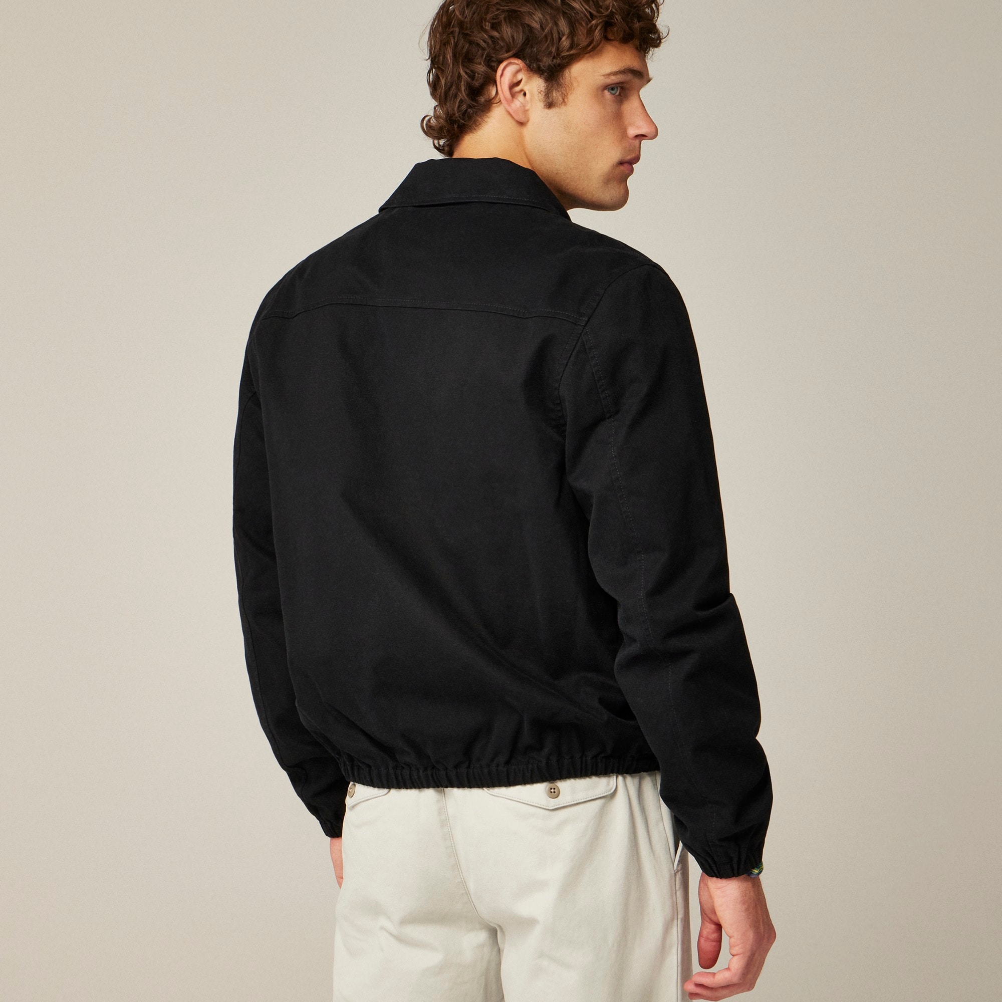 Harrington jacket in cotton twill
