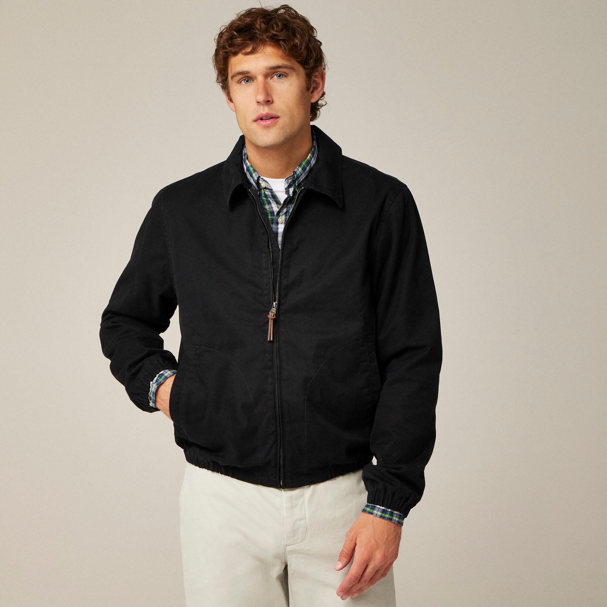 Harrington jacket in cotton twill