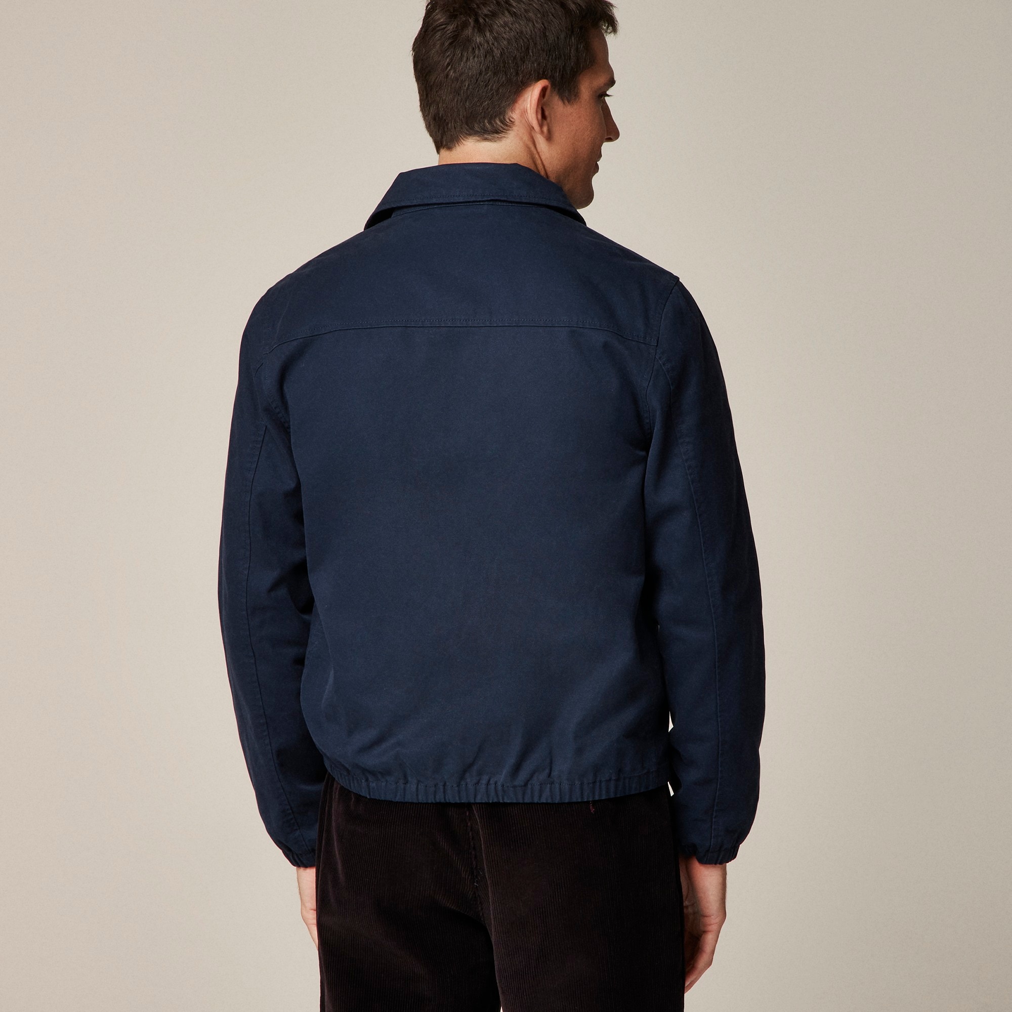 Harrington jacket in cotton twill