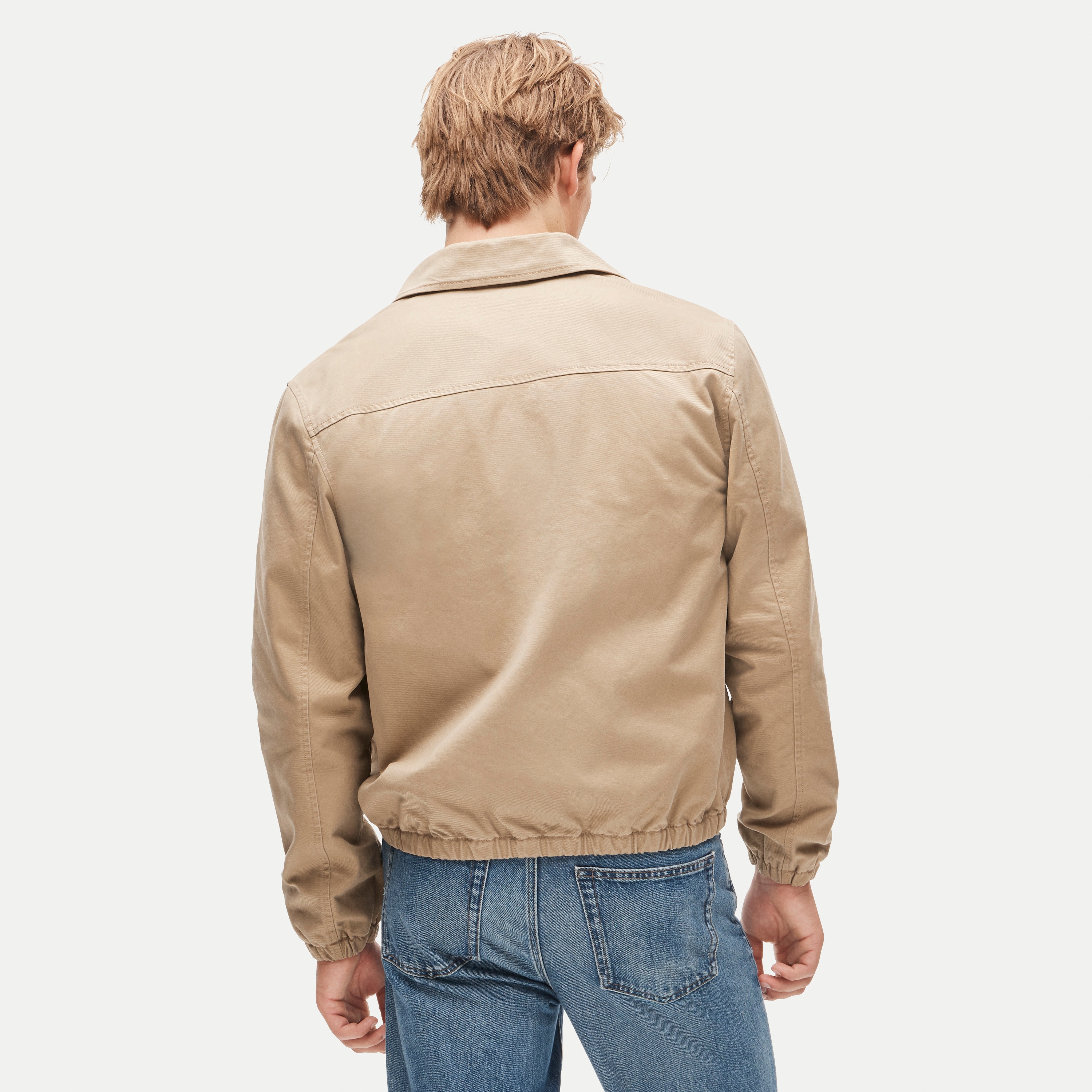 Harrington jacket in cotton twill