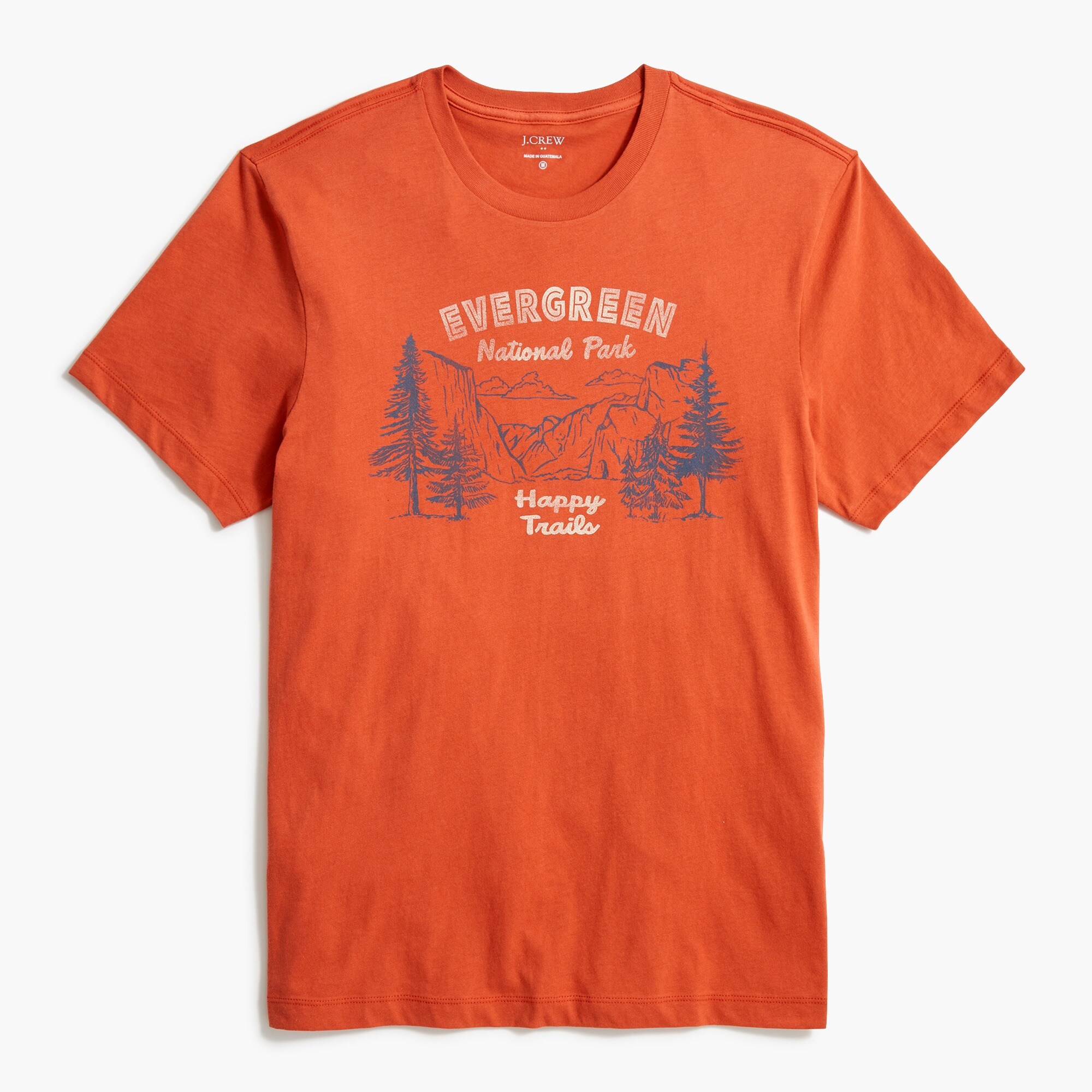 Evergreen forest graphic tee