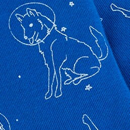 Boys' long-sleeve penguin pajama set FROSTED TUNDRA MULTI 