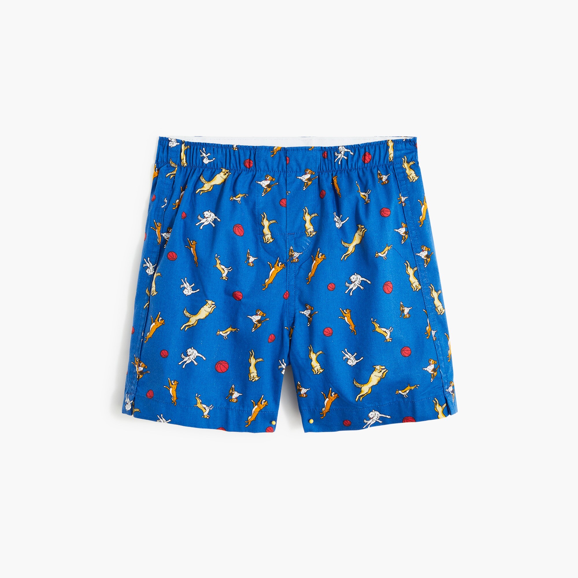 Boys' basketball dog boxers