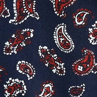 EVENING PAISLEY NAVY RE