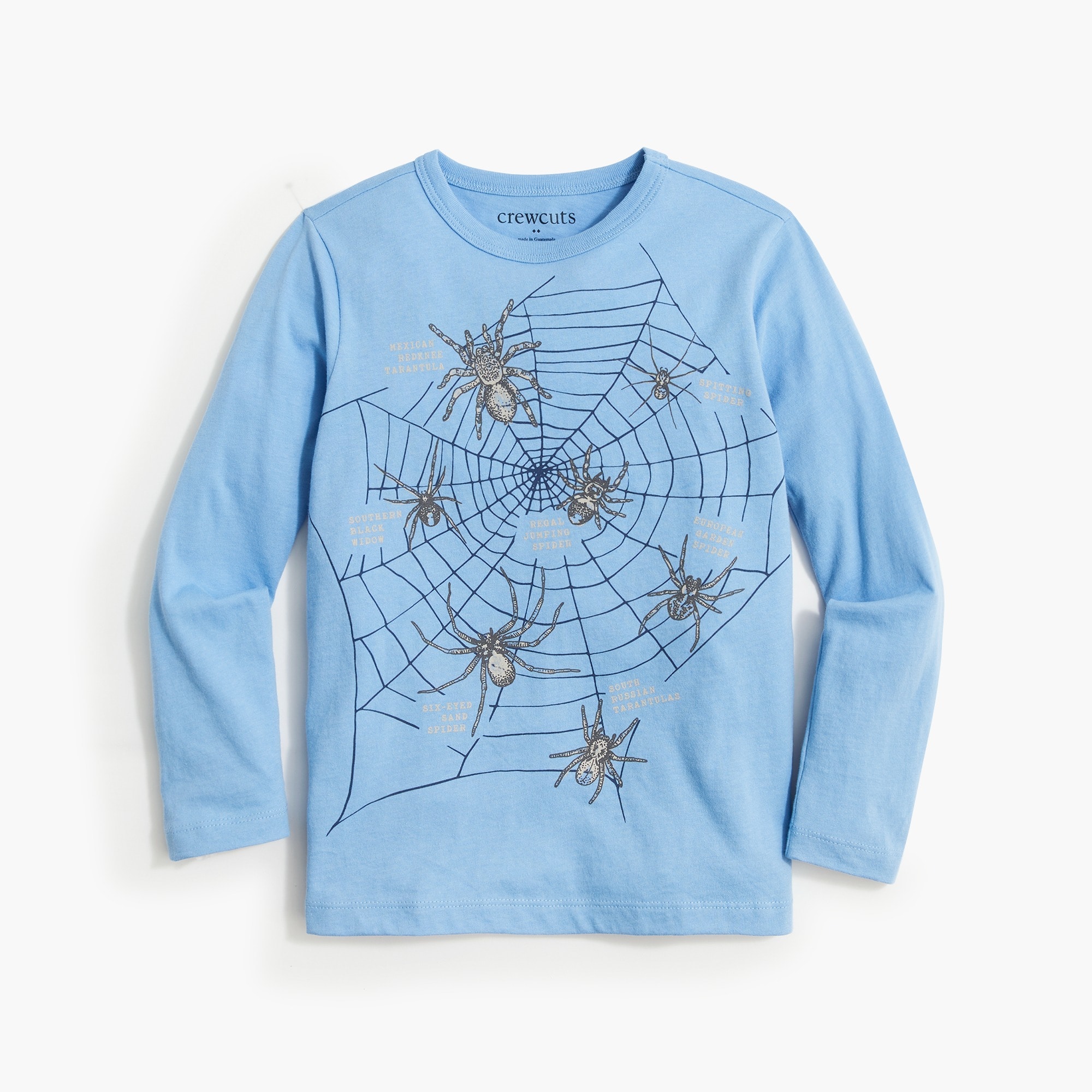 Boys' spider web graphic tee