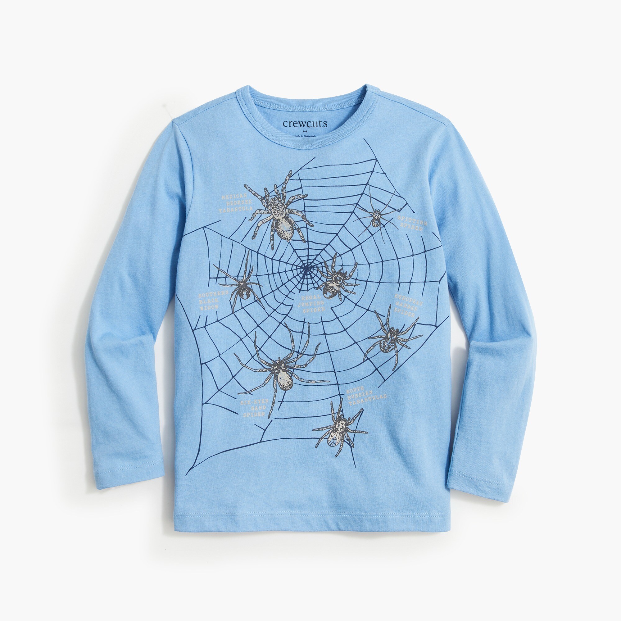 Boys' spider web graphic tee