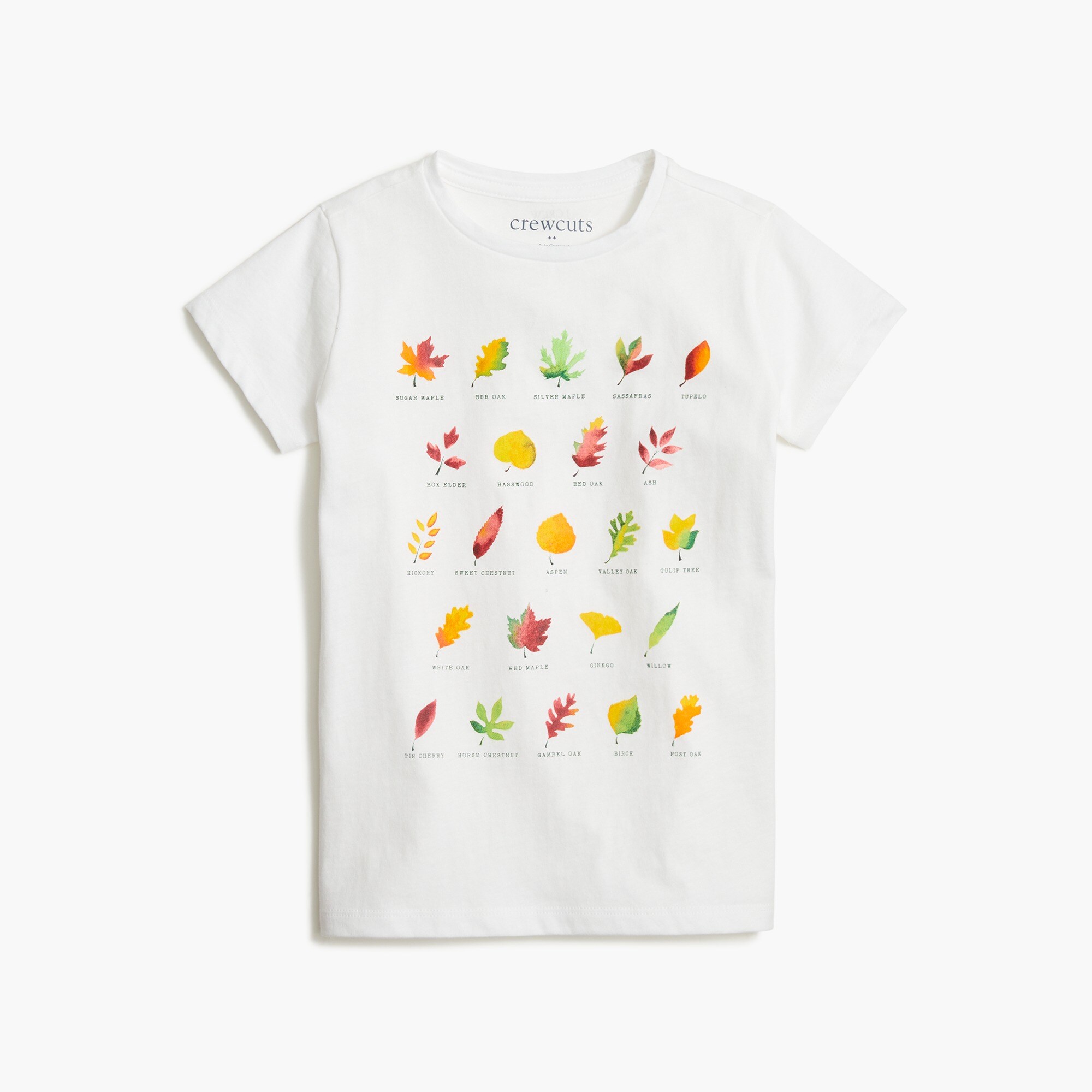 Girls' fall leaves graphic tee