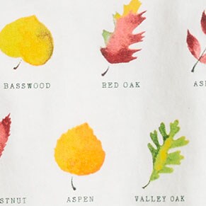 Girls' fall leaves graphic tee LEAF GRID girls' fall leaves graphic tee for girls