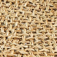 Limited-edition Monrowe™ X J.Crew tall straw hat NATURAL STRAW j.crew: limited-edition monrowe™ x j.crew tall straw hat for women