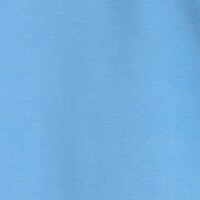 MOUNTAIN BLUEBIRD