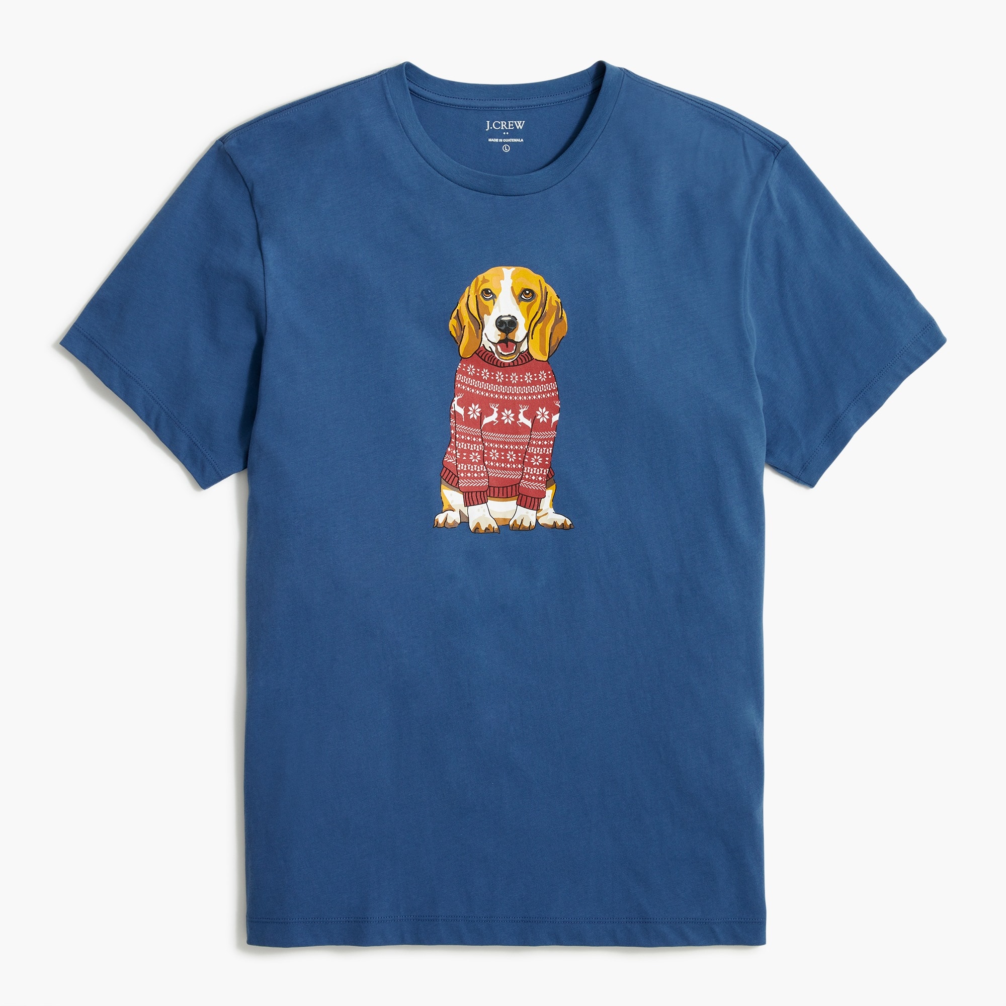 Beagle in sweater graphic tee