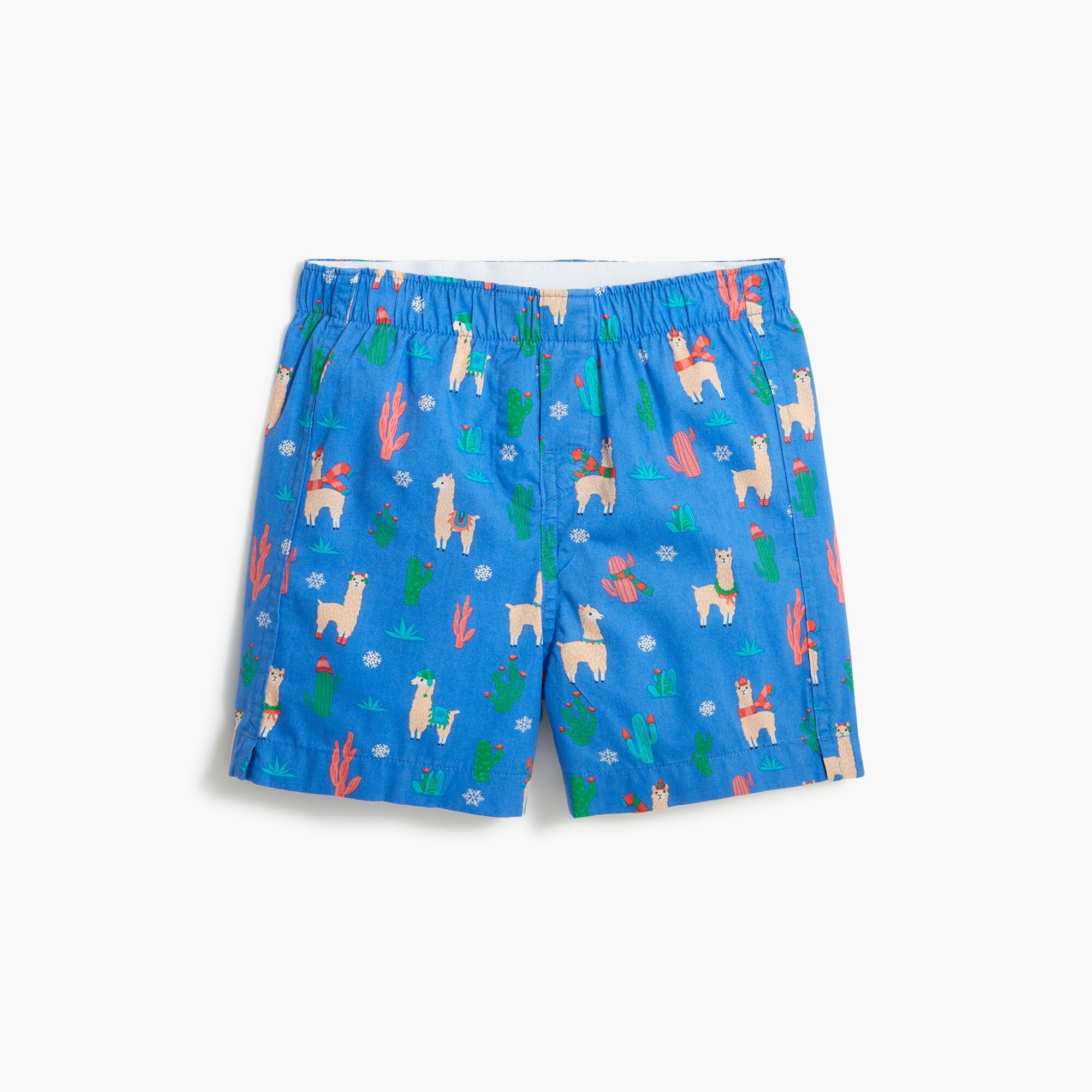 Boys' llama cactus boxers