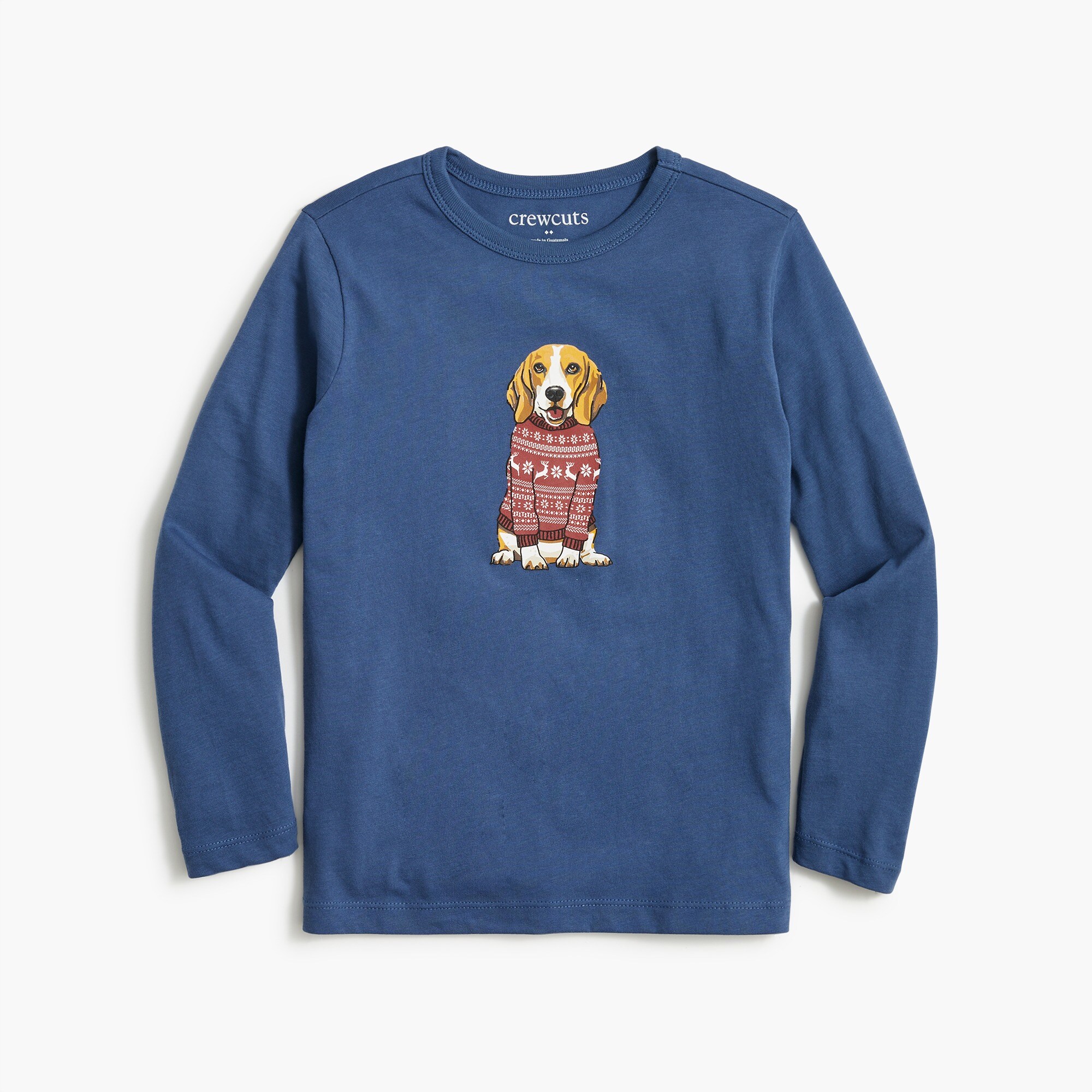 Boys' long-sleeve dog in sweater graphic tee