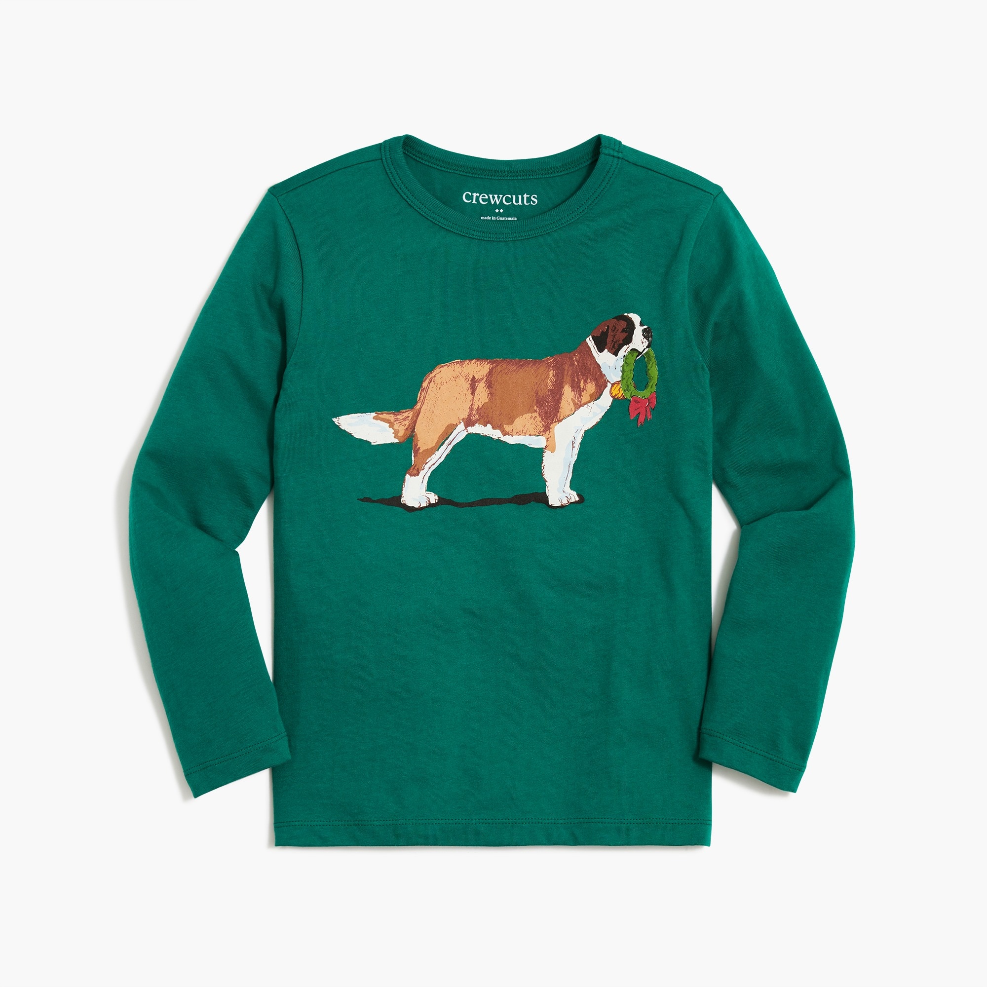 Boys' Long-sleeve Dog And Wreath Graphic Tee For Boys | Factory